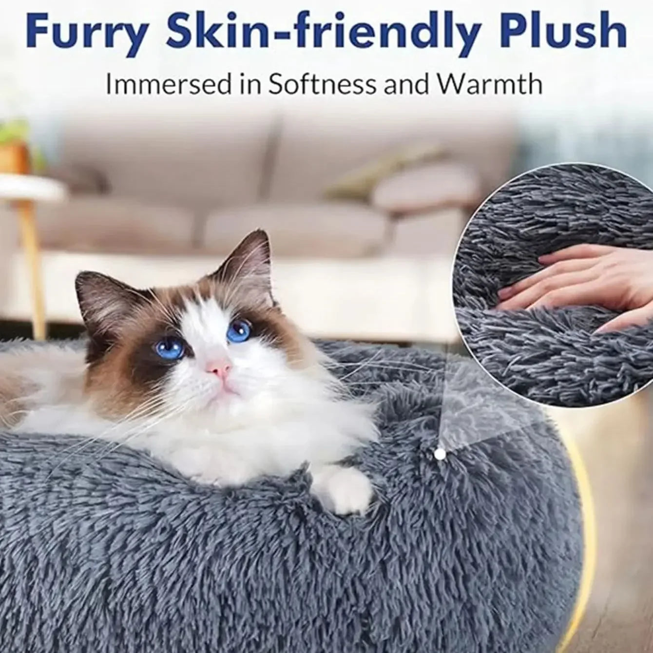 Transform Your Pet's Sleep into Pure Bliss